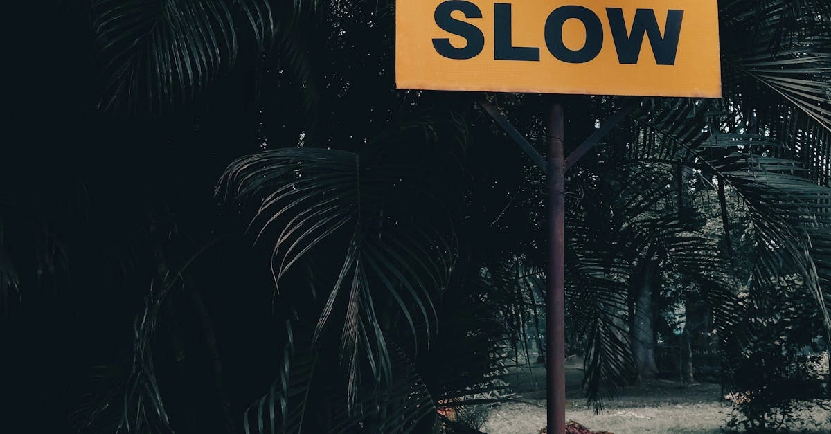 Анализ безопасности слот-игры Gates of Olympus и рекомендации экспертов